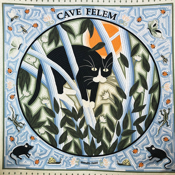 Cave Felem Hermes Scarf by Christine Henry 90 cm Silk Twill - GRAIL